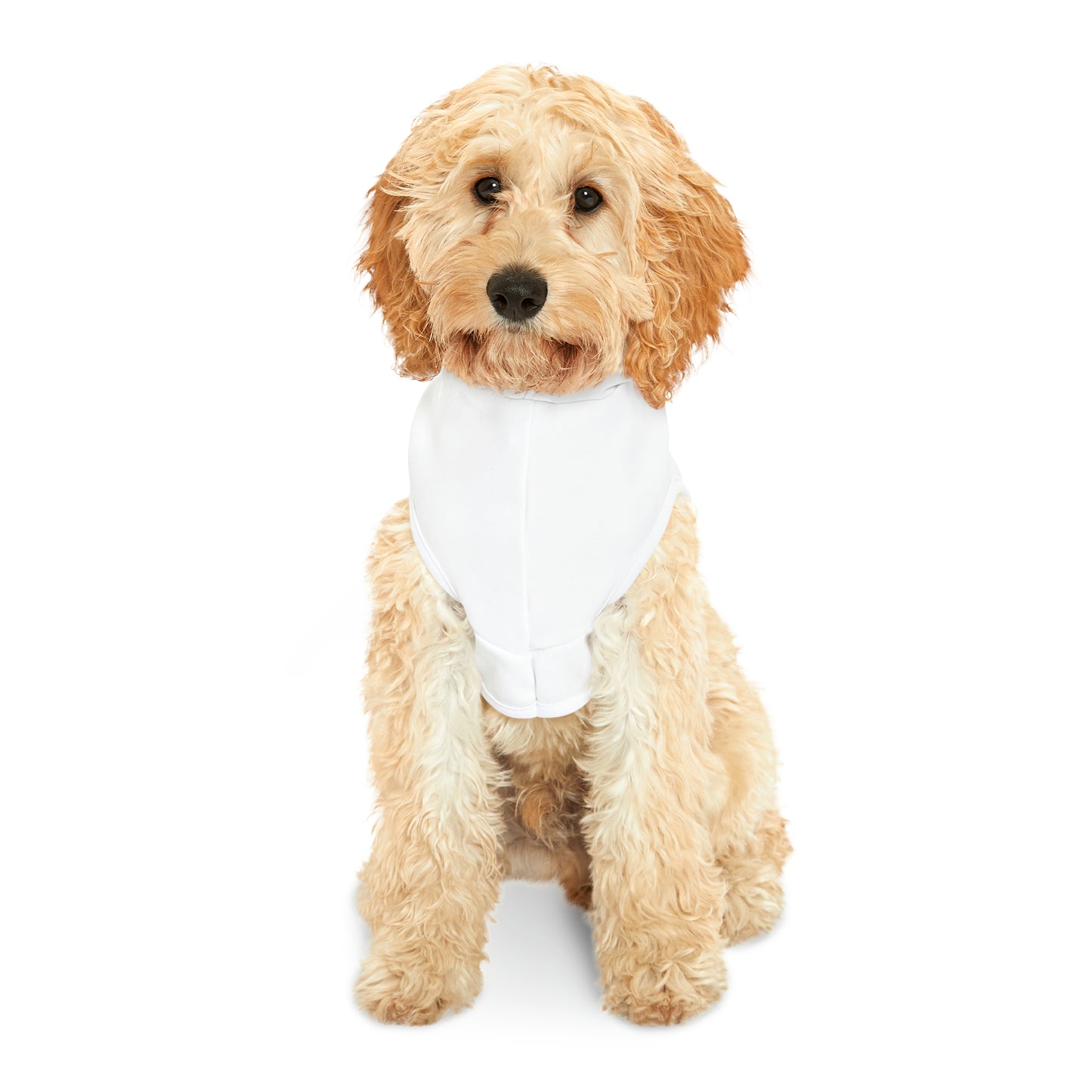 Hoodie for Naughty Beagles