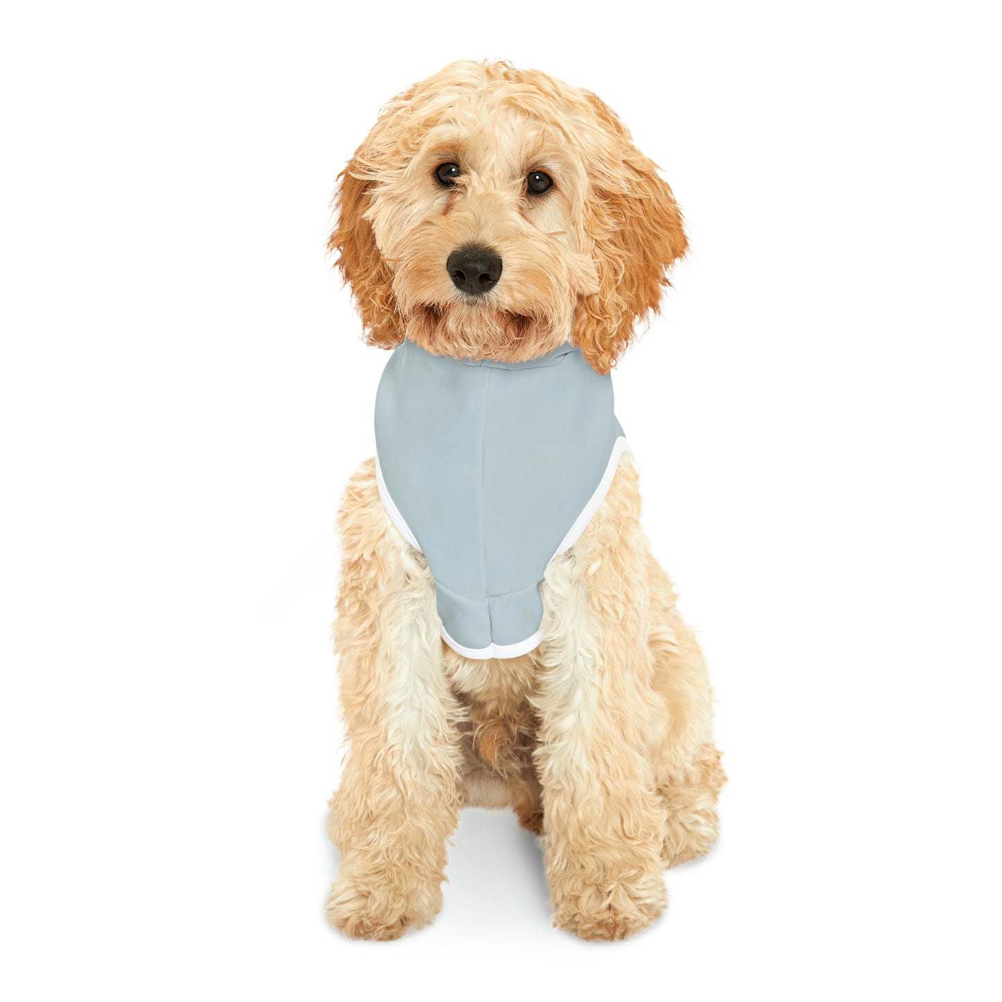 Hoodie for Naughty St. Bernard