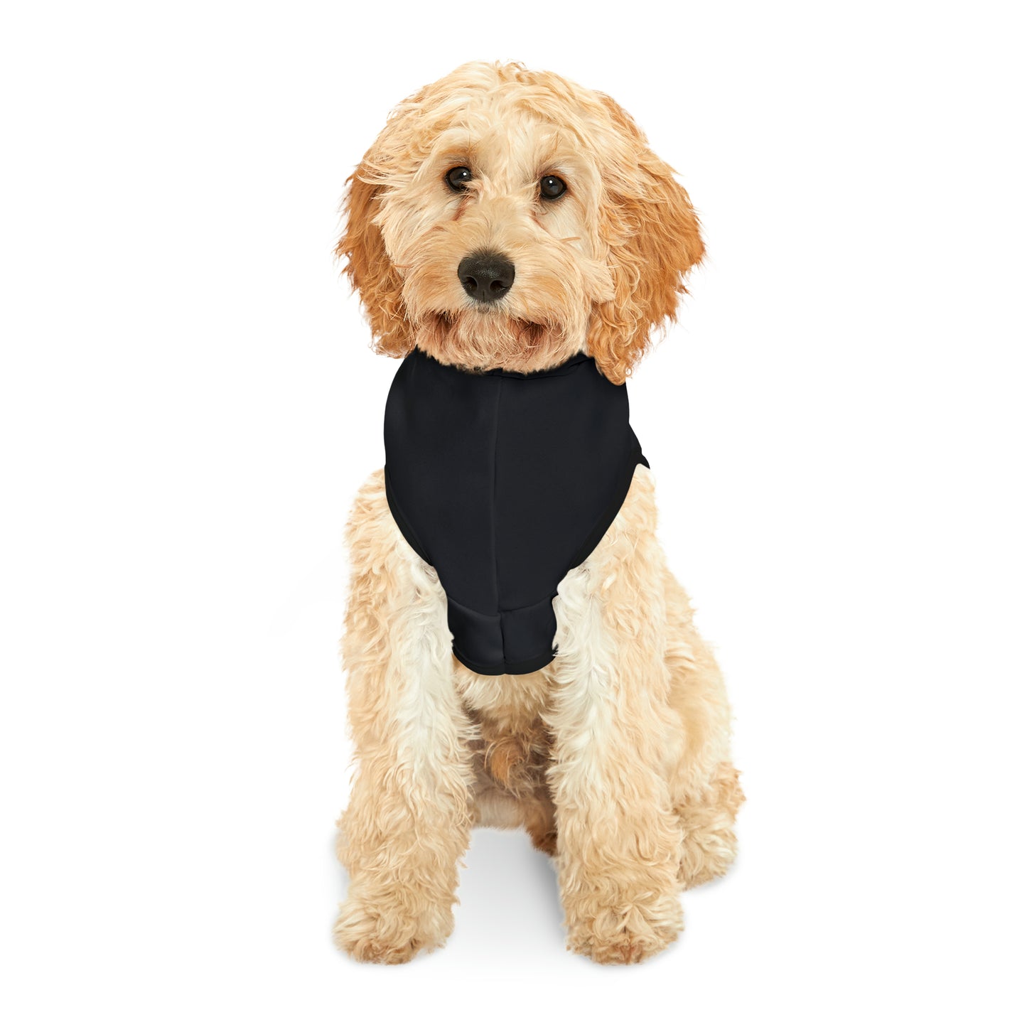 Hoodie for Naughty Beagles