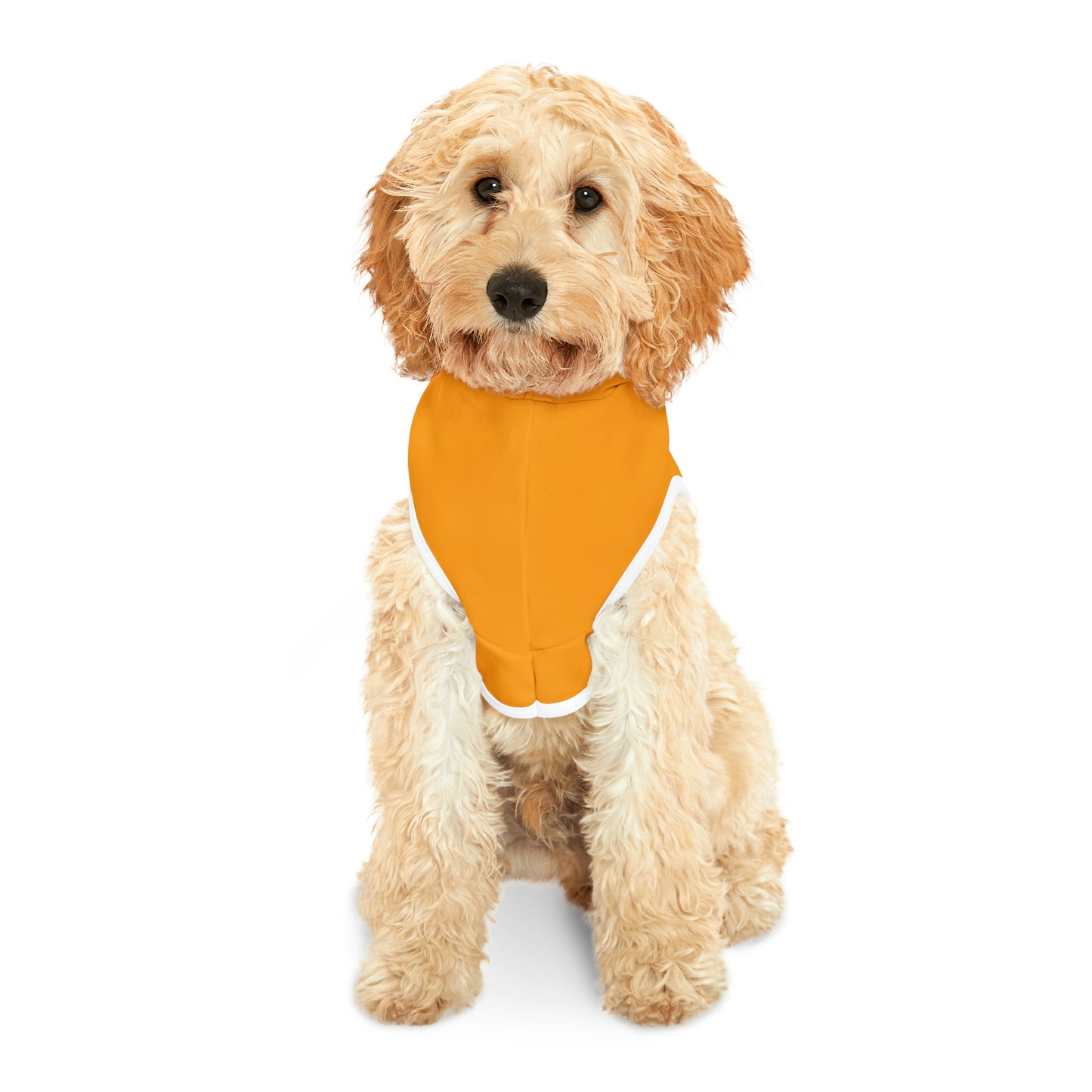 Hoodie for Naughty Golden Doodle