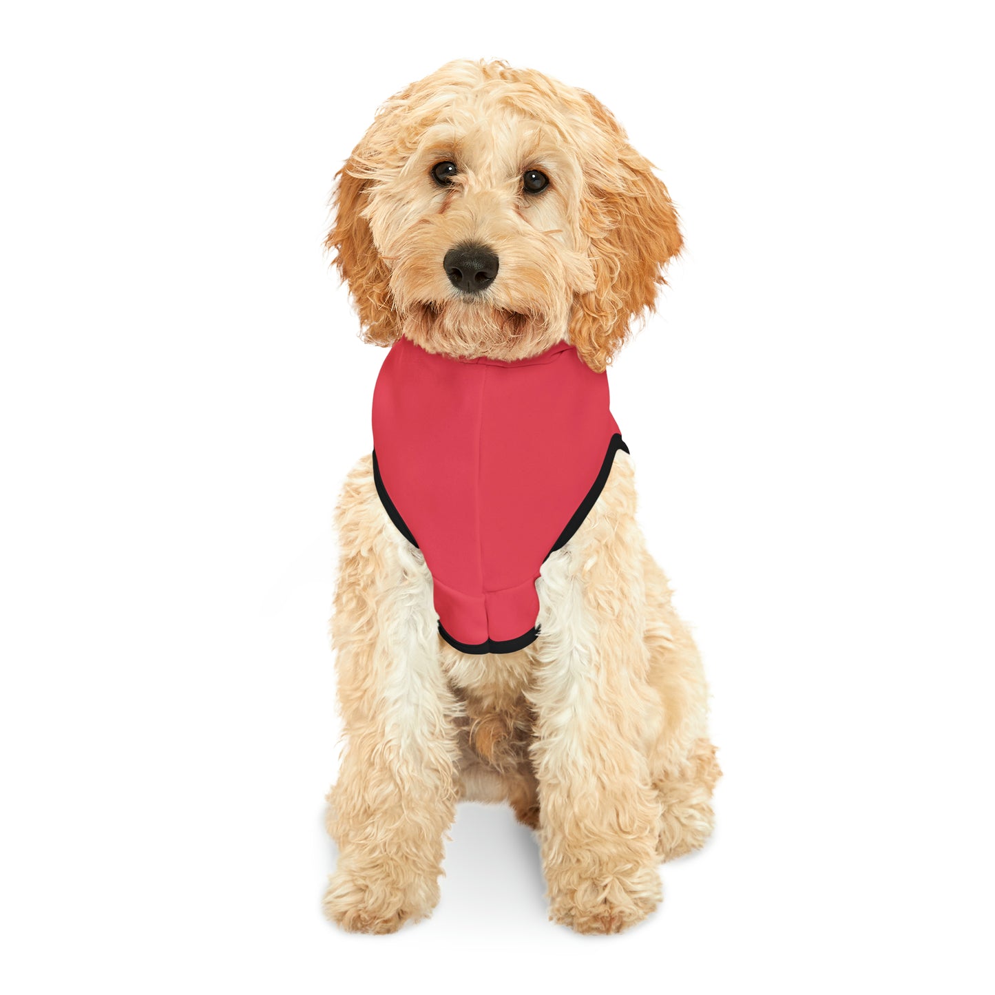 Hoodie for Naughty Shih Tzu