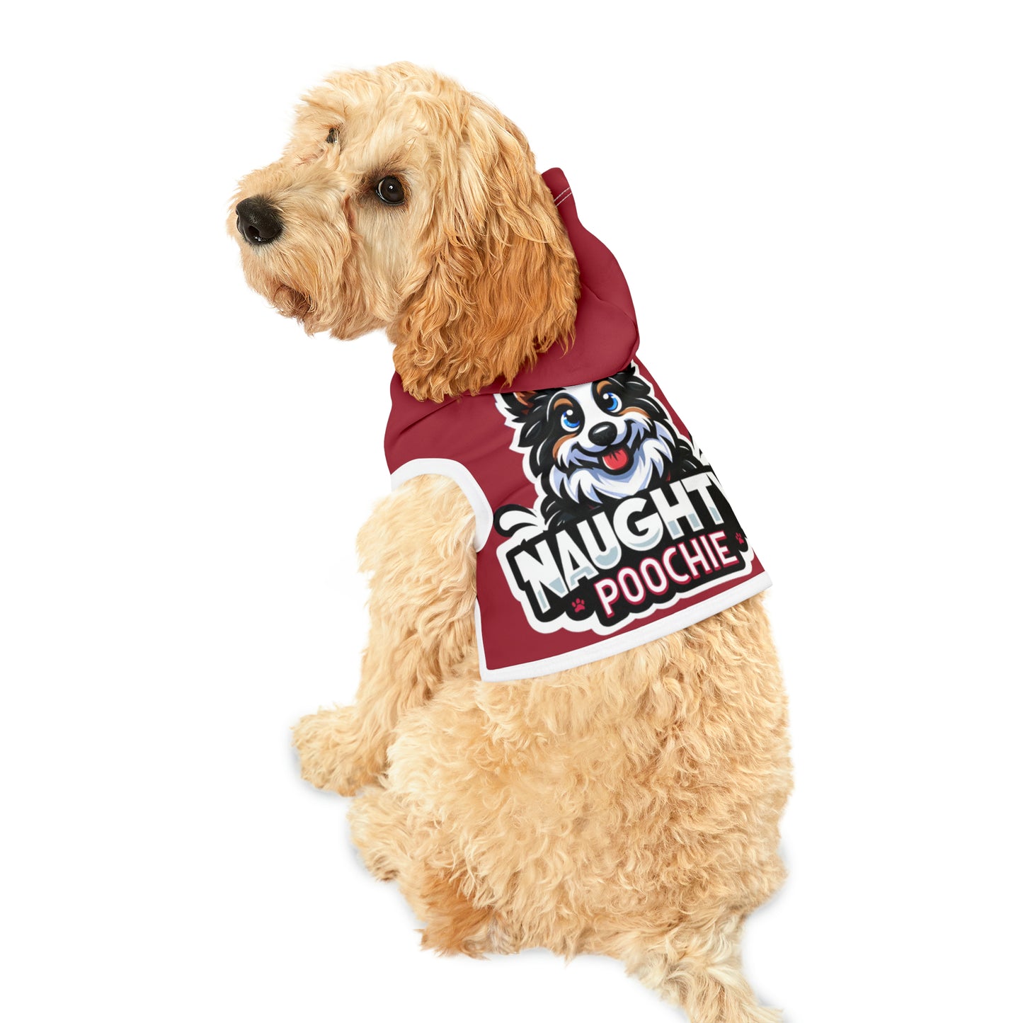Hoodie for Naughty Border Collie