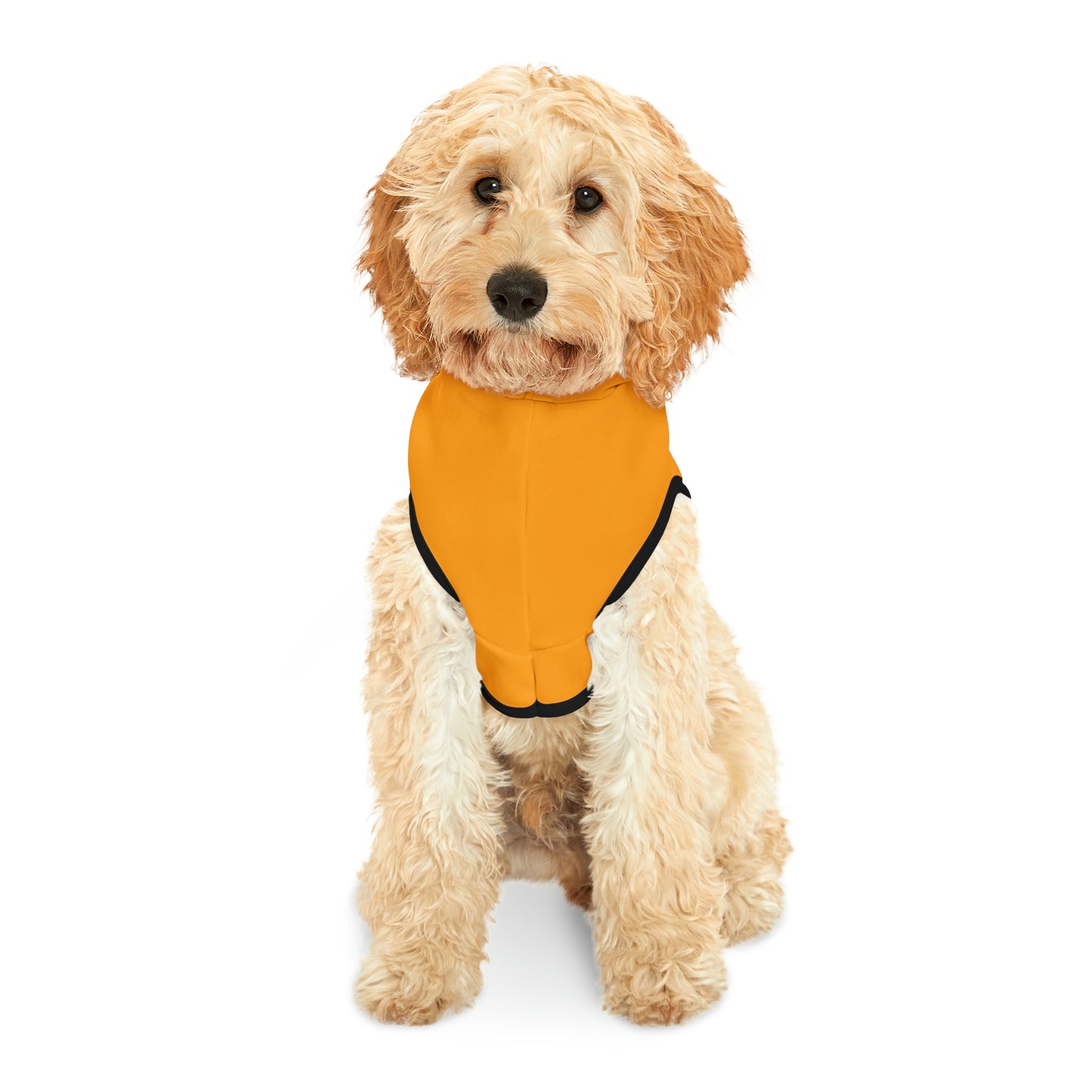 Hoodie for Naughty Golden Doodle