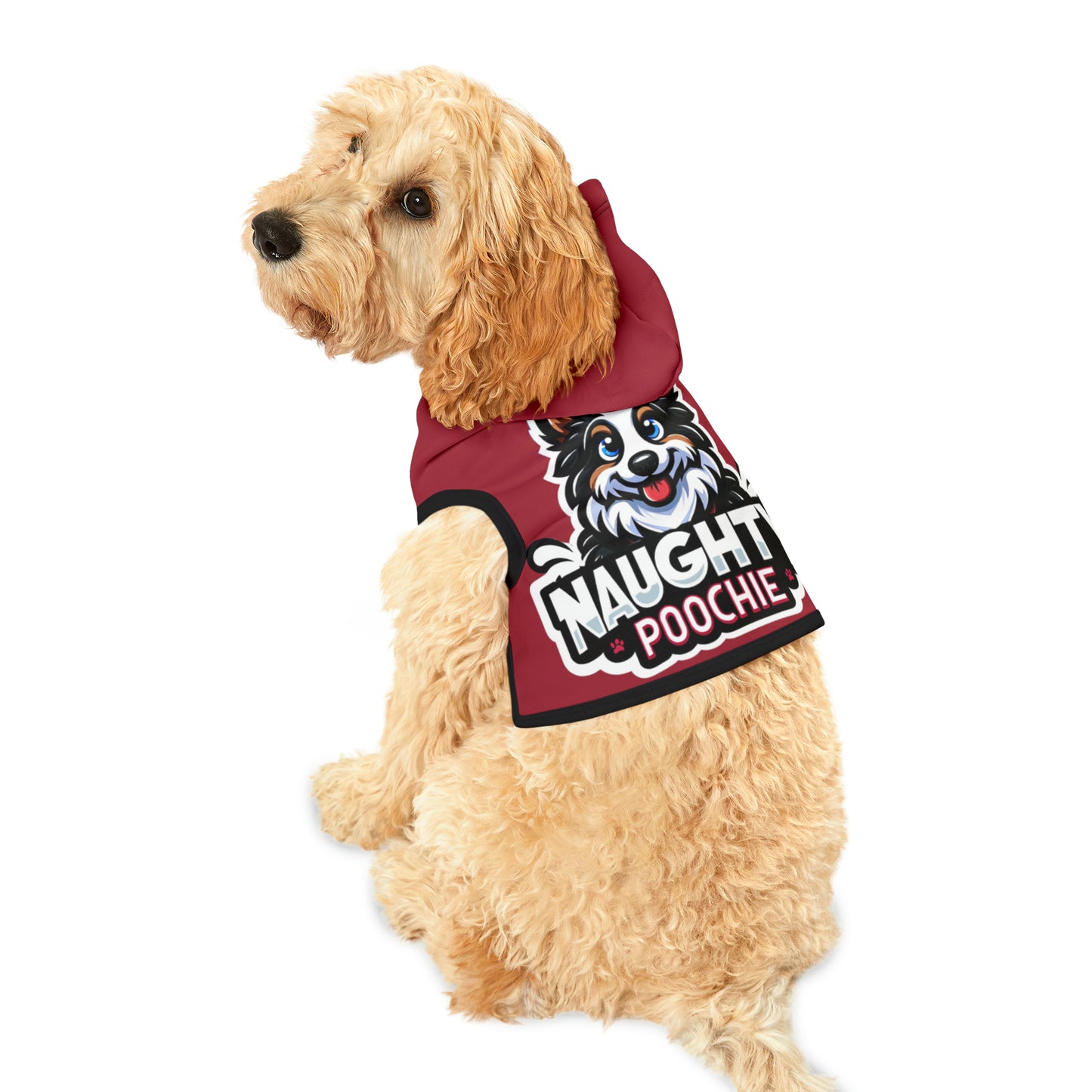 Hoodie for Naughty Border Collie