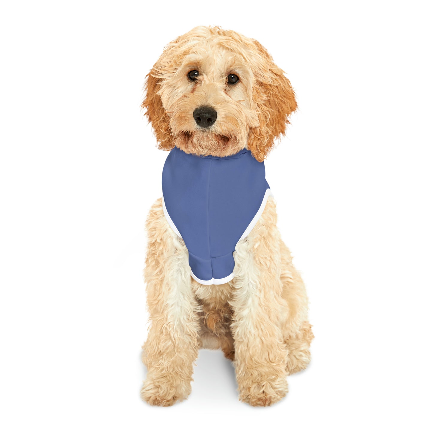Pet Hoodie for Naughty Dachshund