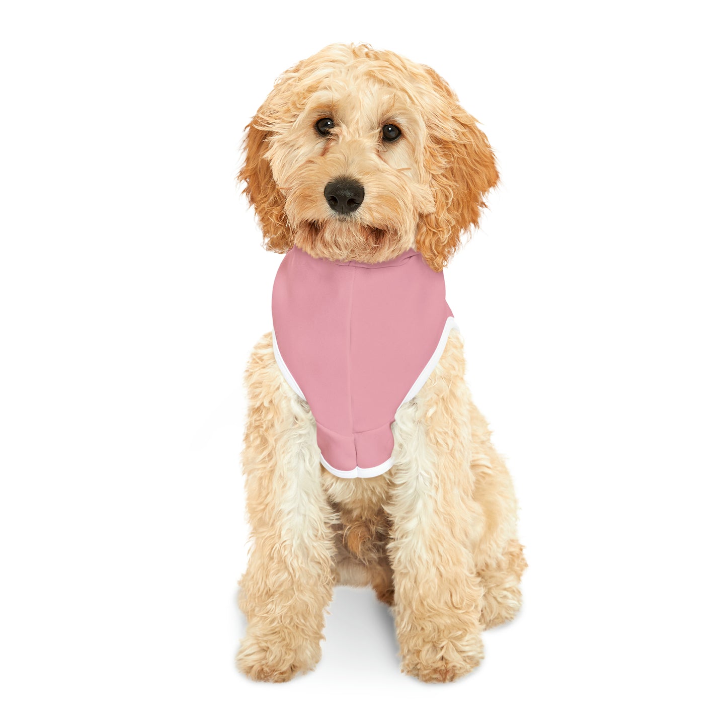 Hoodie for Naughty Poodle