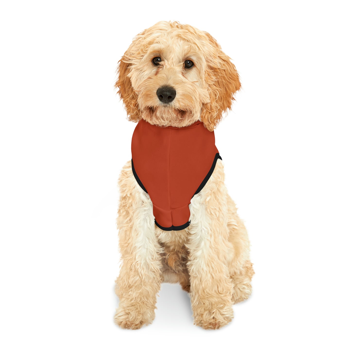 Hoodie for Naughty Golden Retriever