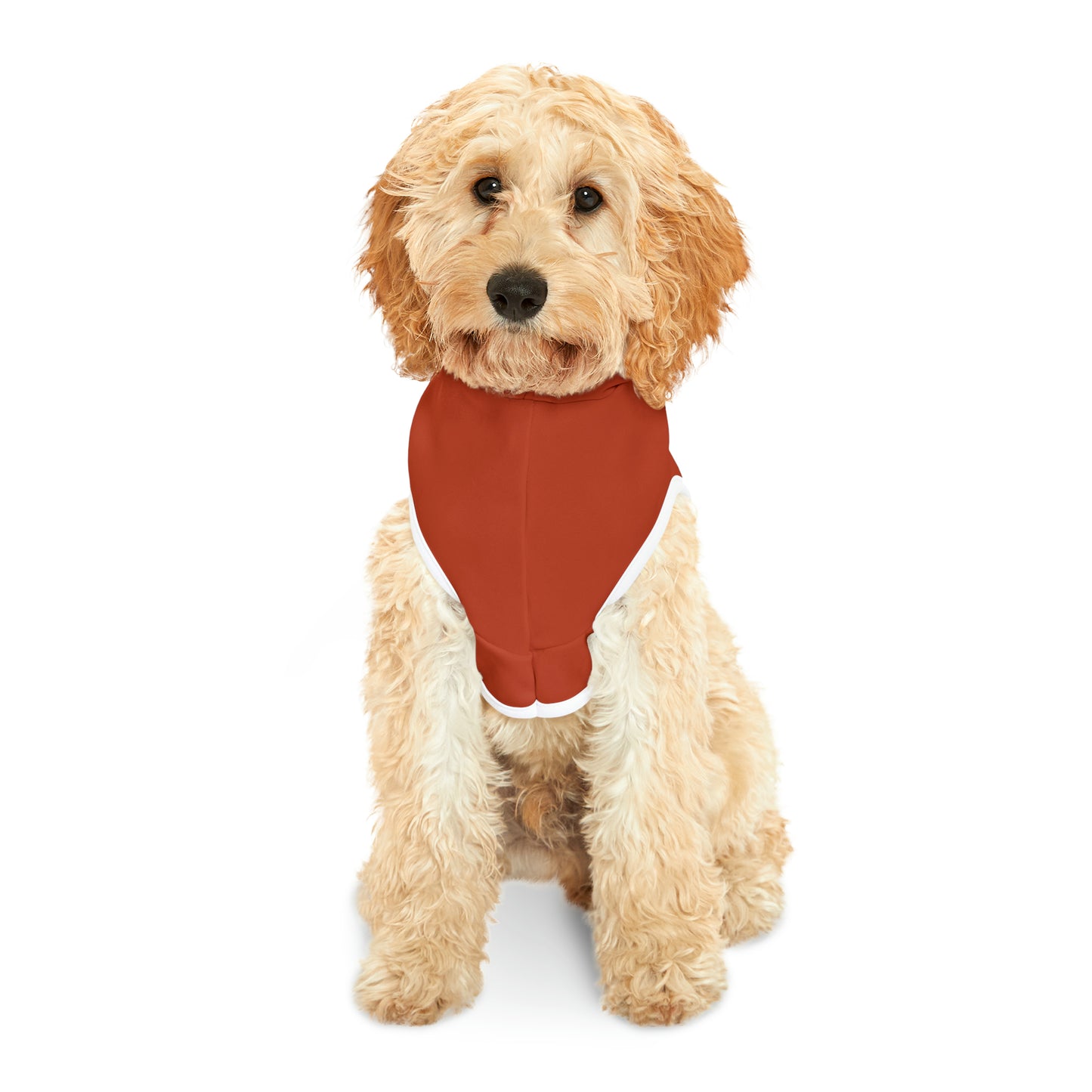 Hoodie for Naughty Golden Retriever