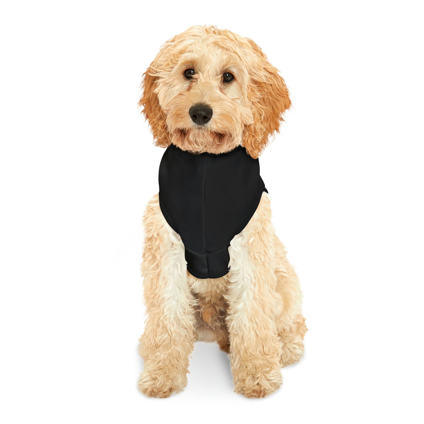 Hoodie for Naughty White Lab