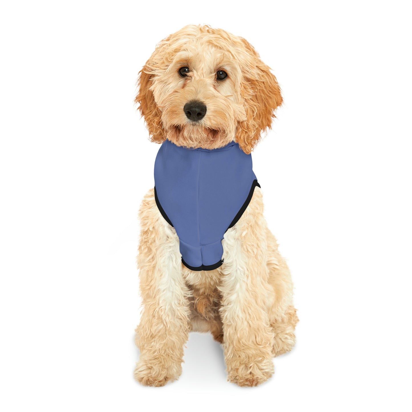 Pet Hoodie for Naughty Dachshund